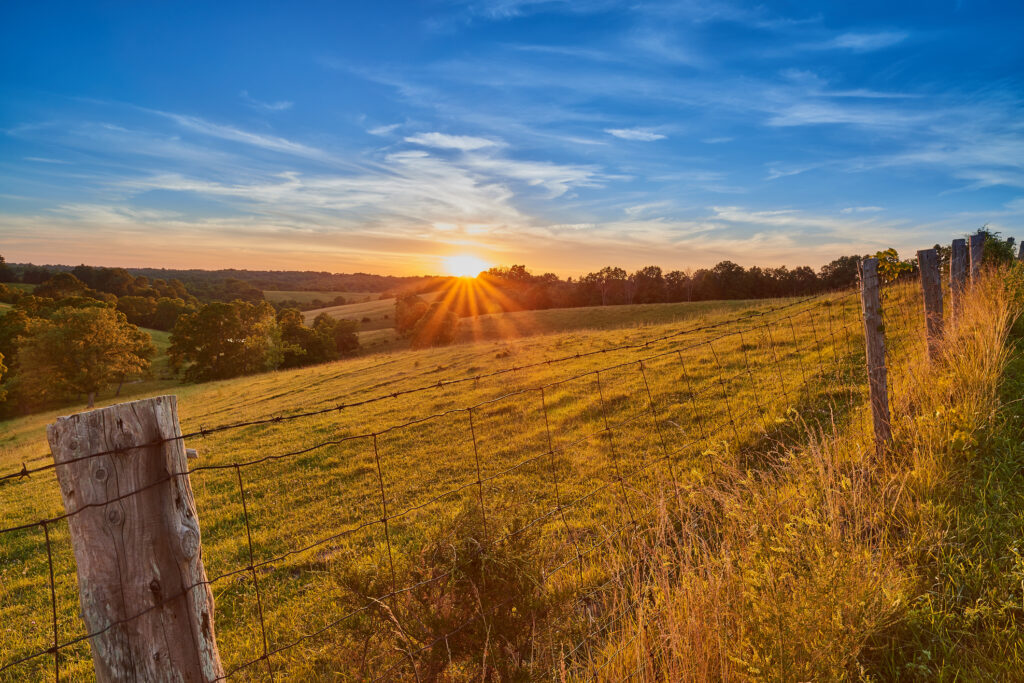 Image of sunrise over field with fence